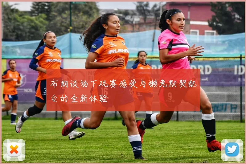 布朗谈场下观赛感受与獭兔默契配合的全新体验