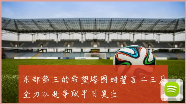 东部第三的希望塔图姆誓言二三月全力以赴争取早日复出