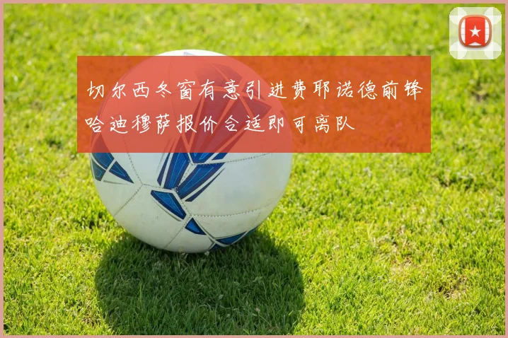 切尔西冬窗有意引进费耶诺德前锋哈迪穆萨报价合适即可离队