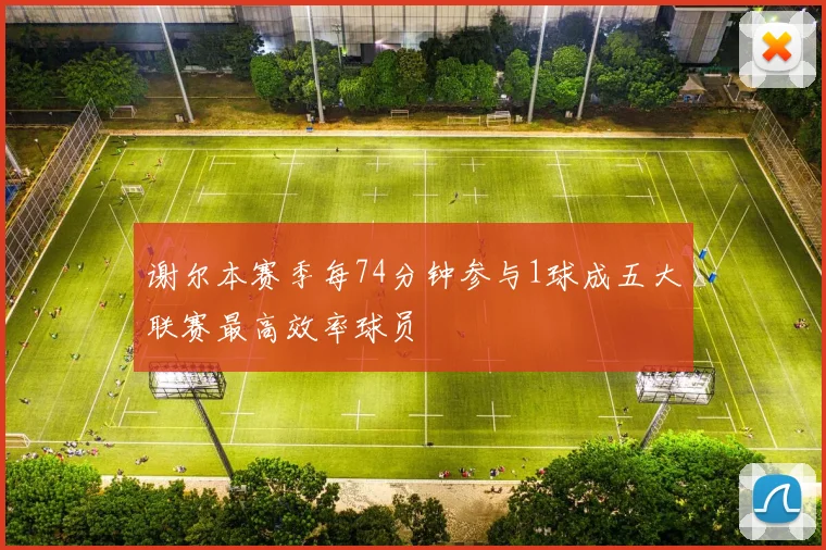谢尔本赛季每74分钟参与1球成五大联赛最高效率球员