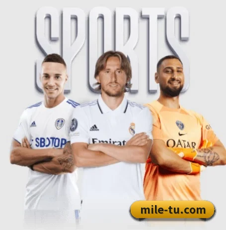 米乐 APP | MILE
